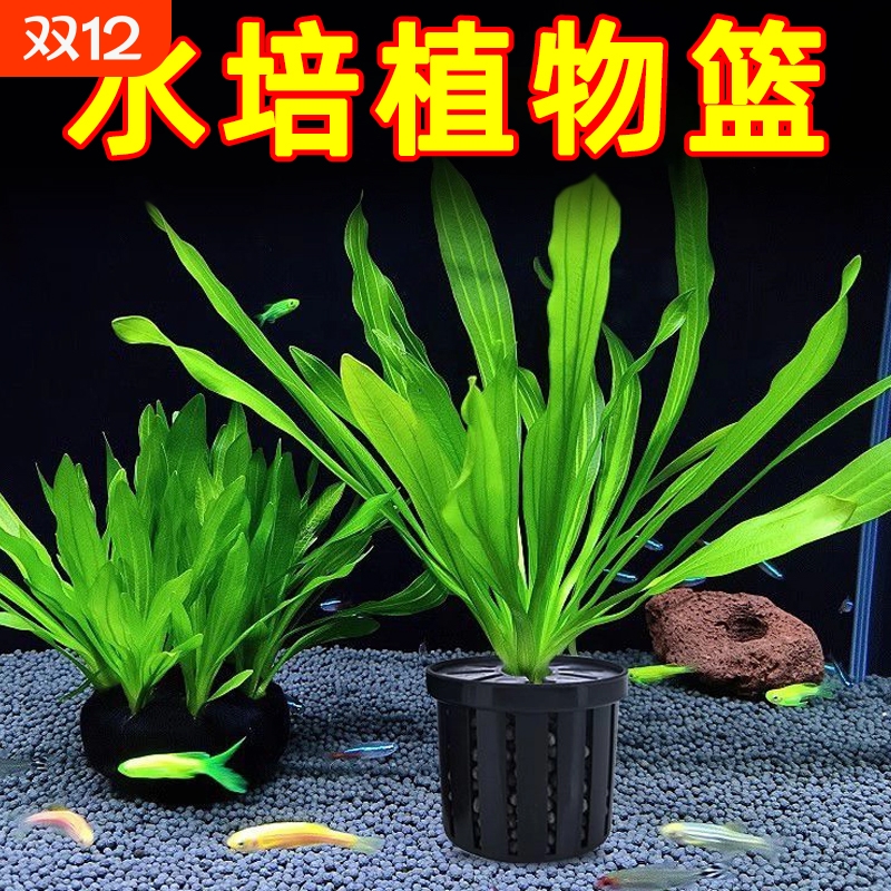 鱼缸水培植物篮家用水草种植水草泥沉底固定器种植造景装饰定植篮