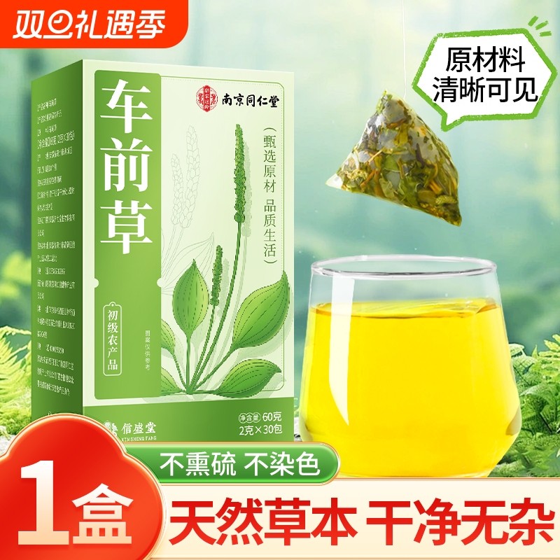 官方旗舰店车前草野生中药材干货泡水南京同仁堂尿酸茶高降袋泡茶