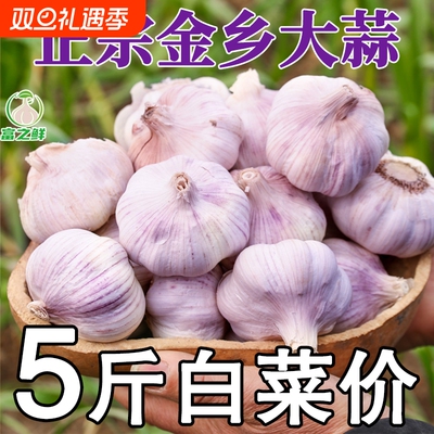 【今年新蒜】山东金乡紫皮新干蒜