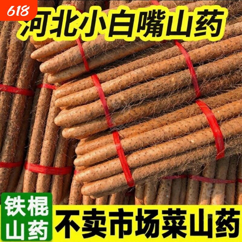 正宗河北新鲜铁棍山药淮山药小白嘴山药垆土铁棍多规格新鲜蔬菜