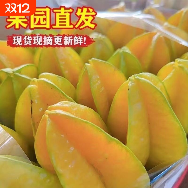 福建漳州杨桃5斤大果树上熟扬下桃河当季新鲜水果洋桃红阳桃整箱