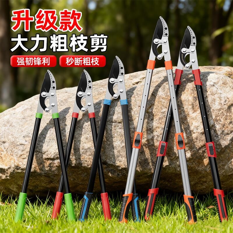 剪枝剪刀修枝果树专用园艺树枝剪修剪神器省力修大枝强力粗枝剪刀图片