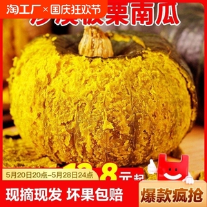 正宗板栗老南瓜非贝贝南瓜当季婴儿辅食粉糯甜新鲜老南瓜整箱包邮