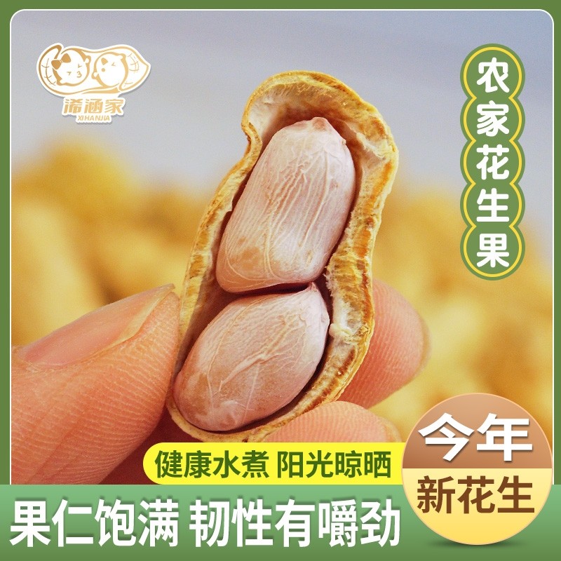 特价广东花生蒜香五香咸干多味盐水白晒水煮花生米带壳炒货熟零食