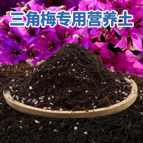 三角梅专用土营养土花土开花盆栽土壤肥料泥土种植土培养土通用