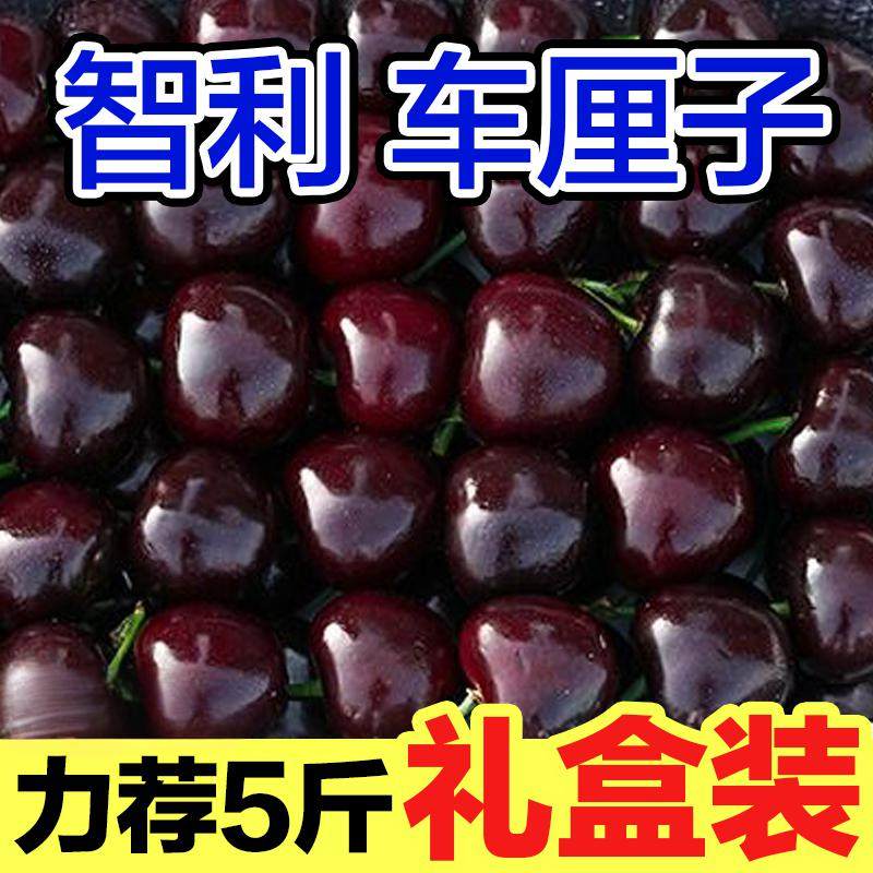 新鲜采摘智利车厘子包邮当季脆甜孕妇水果进口樱桃现货3J4J