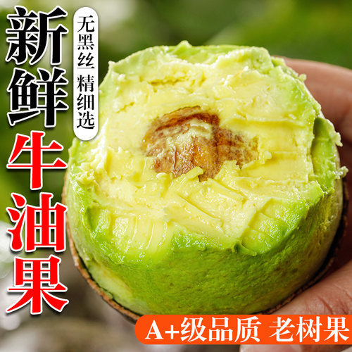新鲜哈斯牛油果大果宝宝孕妇水果应当季整箱一级奶油鳄梨包邮