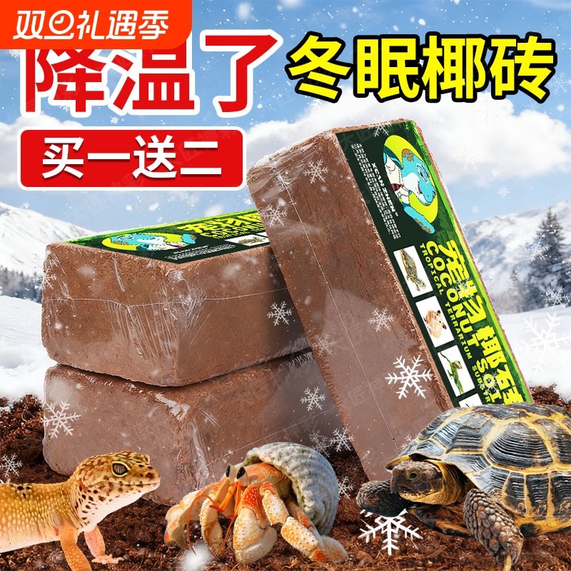 乌龟冬眠箱专用椰土椰砖爬宠饲养盒恒温箱苔藓寄居蟹守宫过冬神器