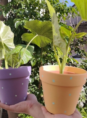 花盆陶土红陶陶瓷陶盆透气多肉兰花家用泥瓦盆特价波点带托盘桌面