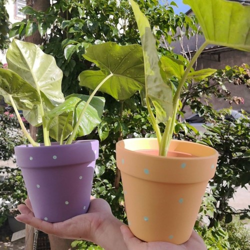 花盆北欧风新品特价冲量厂家直销