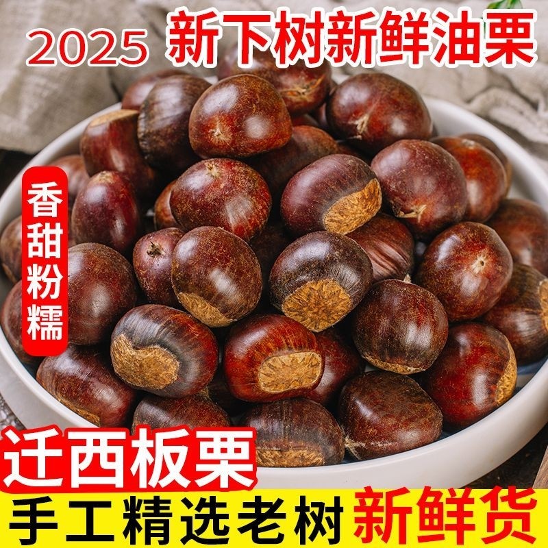 正宗迁西板栗2025年新货生新鲜栗子板栗生大油栗野生小毛栗子现摘