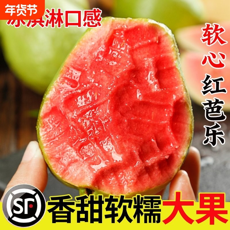 当季新鲜番石榴红心芭乐树熟软甜奶油胭脂红芭乐水果5斤顺丰包邮,水产肉类/新鲜蔬果/熟食,番石榴/芭乐,淘宝优惠券,粉丝福利购,淘宝优惠卷