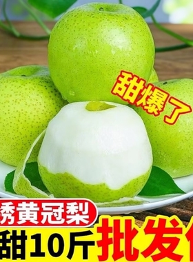 梨子新鲜绿皮皇冠梨青皮皇冠梨当季水果皇冠梨带箱5斤9斤装包邮