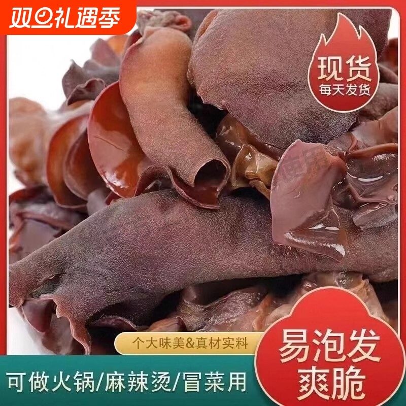 毛木耳干货餐饮火锅食脆木耳农家特产黑木耳凉拌毛木耳