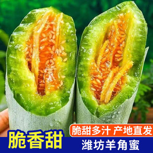 新鲜水果现摘整箱脆甜多汁薄皮爆浆 山东潍坊头茬羊角蜜甜瓜当季