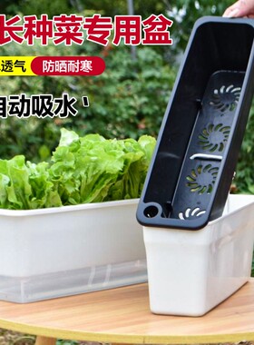 阳台种菜盆长方形窄边窗台种葱专用自吸水懒人种菜盆加厚透气