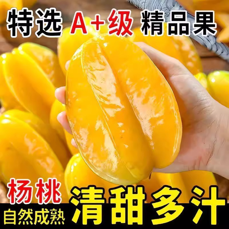 福建漳州甜杨桃5斤新鲜水果应当季红扬桃五角星阳桃现摘整箱包邮