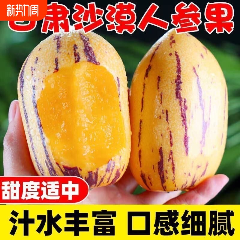 甘肃民勤沙漠人参果装新鲜大果肉当天采摘坏果包赔现摘现发