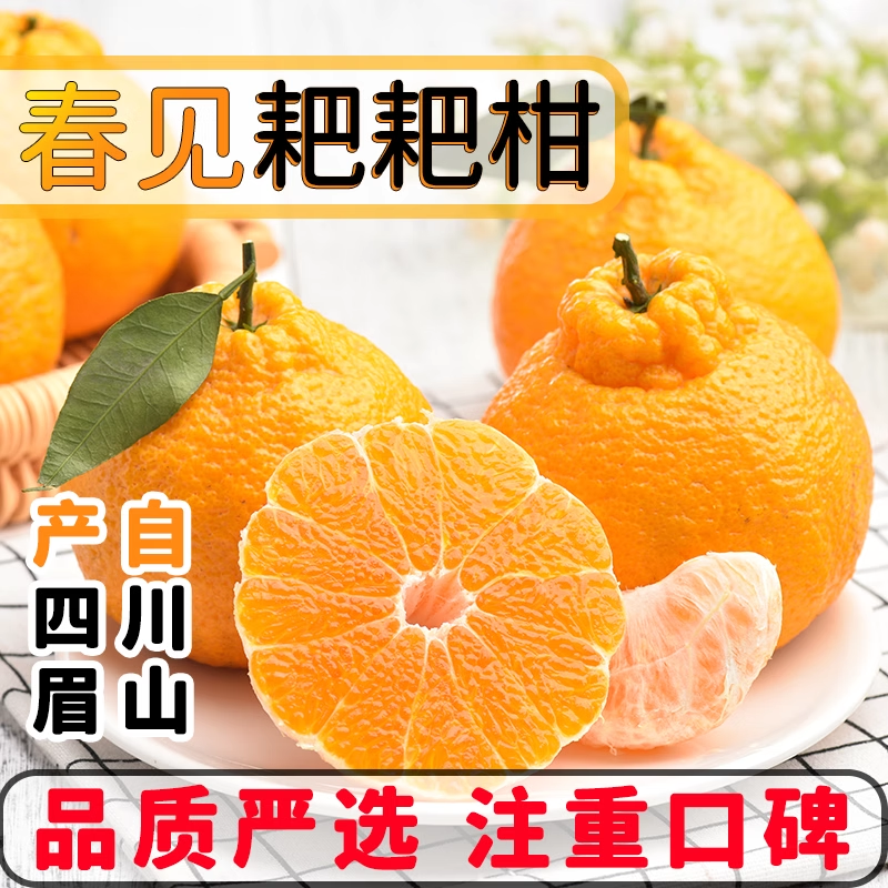 正宗眉山春见耙耙柑四川粑粑柑橘子新鲜水果孕妇当季整箱包邮,水产肉类/新鲜蔬果/熟食,桔子,淘宝优惠券,粉丝福利购,淘宝优惠卷