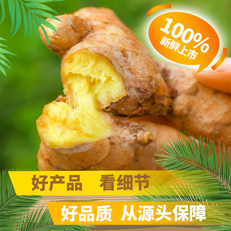 产地发货正宗云南小黄姜生姜农家现挖新鲜月子姜老姜沙姜蔬菜批发
