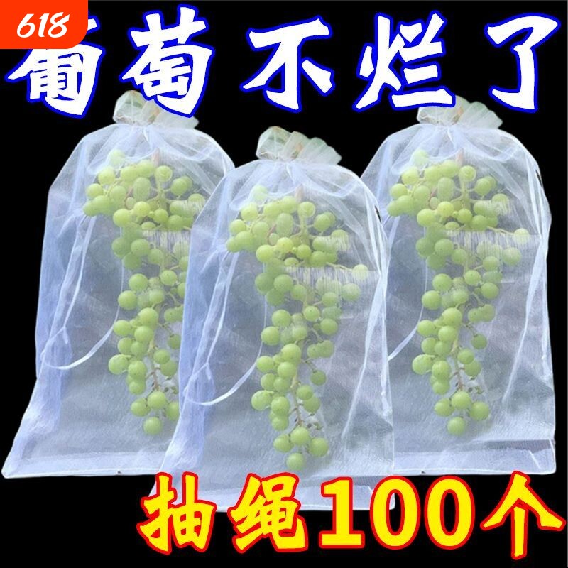 自带抽绳葡萄水果套袋防虫防鸟防雨水果网袋无花果透气瓜果防虫袋