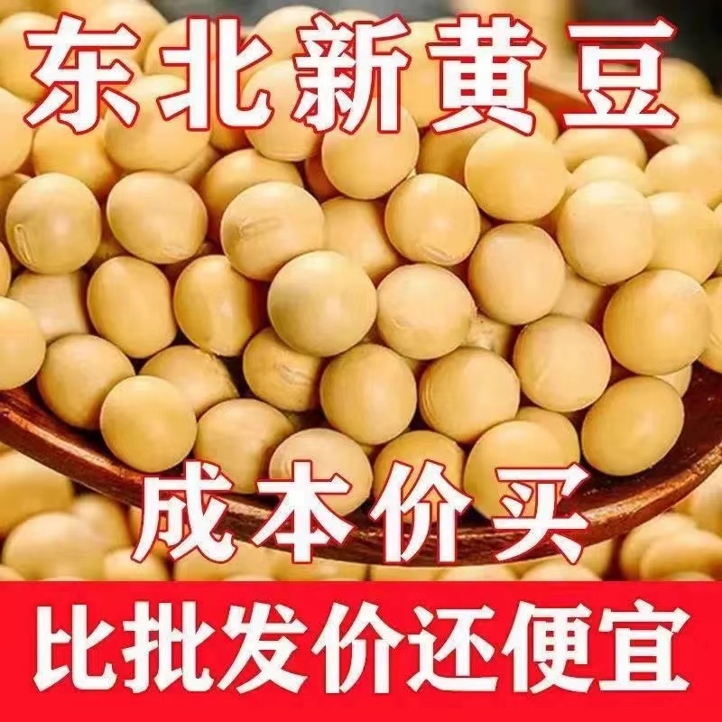 新豆东北黑龙江黄豆农家自产五谷杂粮打豆浆豆芽黄豆新