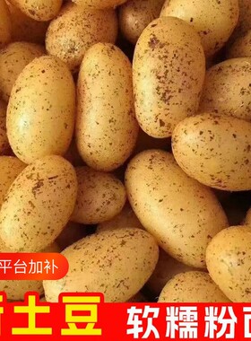 贵州特产威宁黄心洋芋土豆