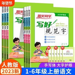 阳光同学写好规范字一年级上二三四五六上册下册小学语文人教版全国通用同步专项训练字帖练字帖生字摹写临摹规范书写RJ