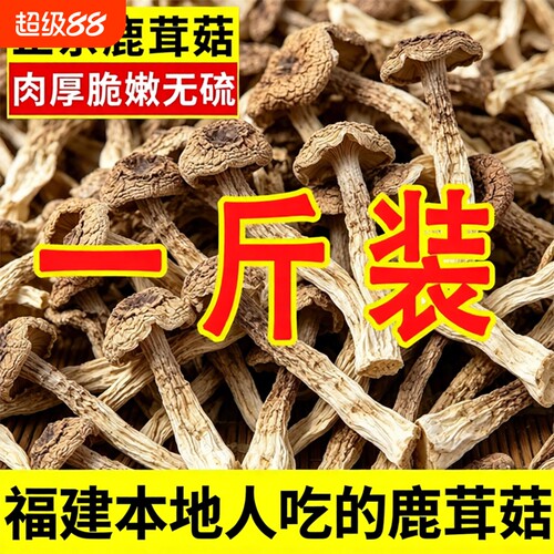 正宗鹿茸菇特级干货500g