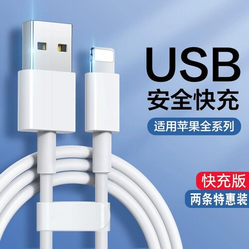 匿名者适用苹果数据线快充