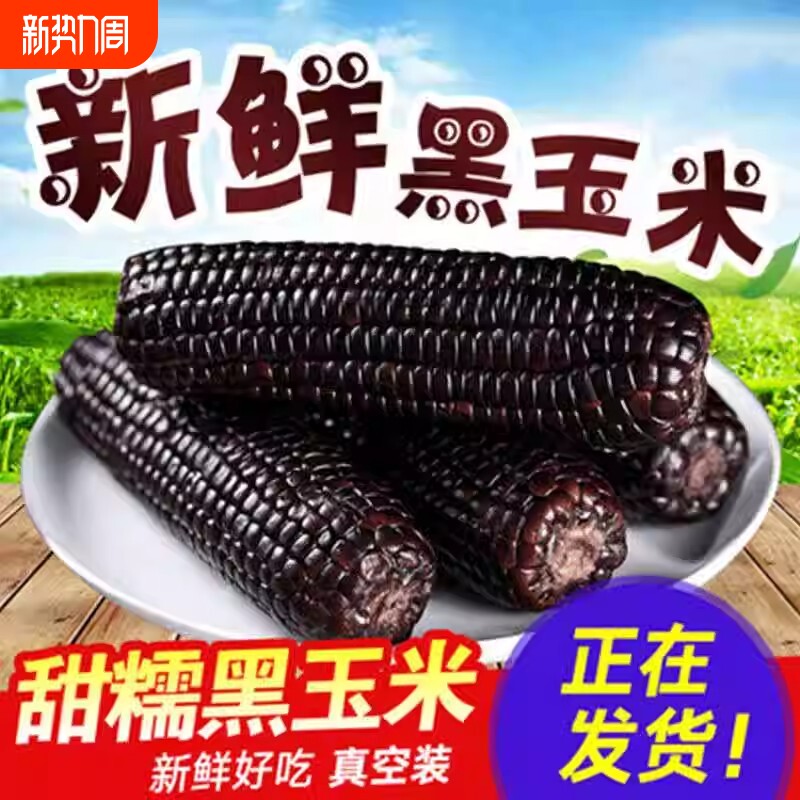 黑甜糯玉米真空包独立包装玉米棒早餐新鲜黑糯玉米真空装代餐年货