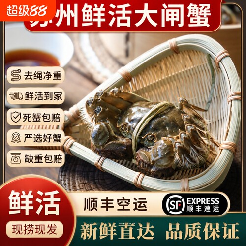 苏州螃蟹鲜活大闸蟹公可全母2.5两去绳净重顺丰中秋10只礼盒装