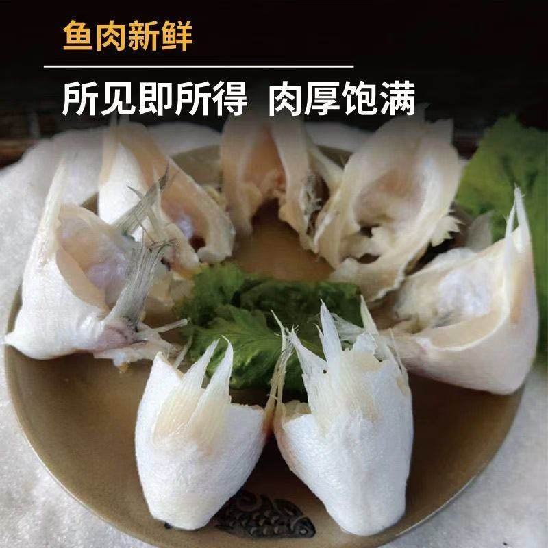 新鲜冷冻鲈鱼红烧油炸鱼剁椒食材海鲜产品批发生鲜鲈鱼翅鱼鳍海鲜,水产肉类/新鲜蔬果/熟食,鲈鱼,淘宝优惠券,粉丝福利购,淘宝优惠卷