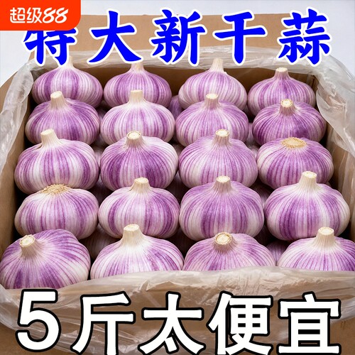 【十足干蒜】金乡大蒜干蒜特大果