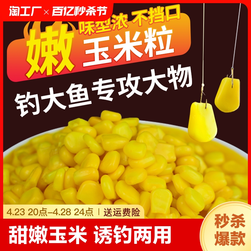 柏羽嫩玉米饵料鲤鱼翘嘴专用