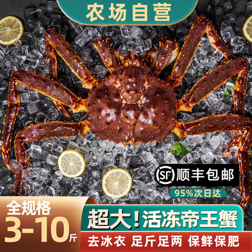 俄罗斯帝王蟹特大10斤万人购买