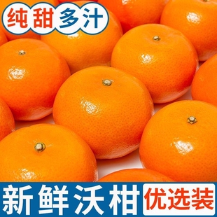 现摘甜沃柑5斤新鲜桔子水果当季沙糖蜜橘砂糖柑橘大皇后阳光源头
