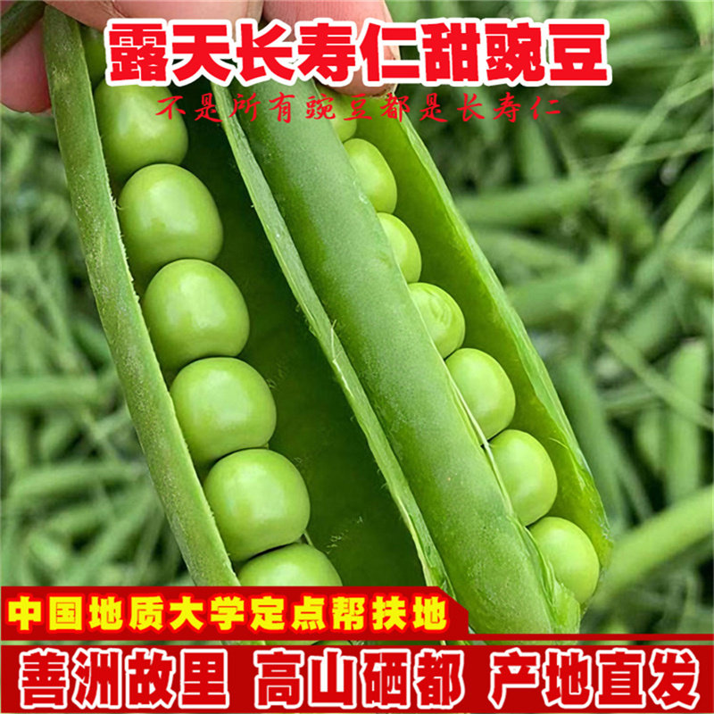 露天长寿仁新鲜带壳豌豆青豆角长寿豆粒现摘农家水果甜豆荚嫩云南,水产肉类/新鲜蔬果/熟食,新鲜豆类,淘宝优惠券,粉丝福利购,淘宝优惠卷