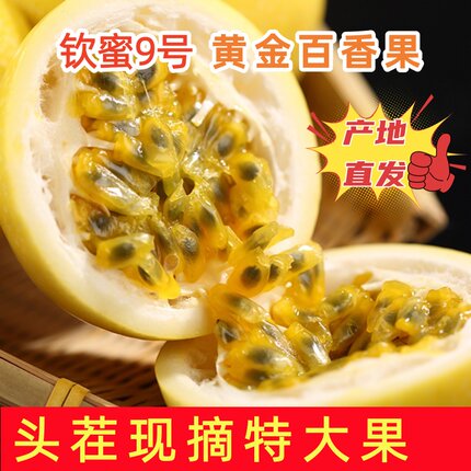 海南钦蜜9号黄金百香果高端新鲜水果现摘果肉饱满甜孕妇小孩