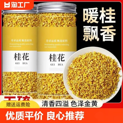 桂花茶特级浓香型广西干桂花可食用金桂花食品级干桂花金丝皇菊