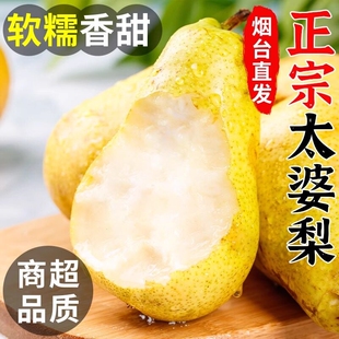 山东烟台太婆梨香蕉梨茄梨新鲜当季水果老婆梨丑伏梨大头梨