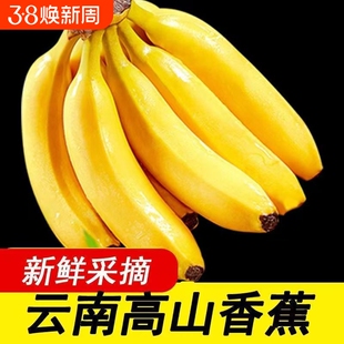 优选云南高山整箱自然熟青皮香蕉软糯香甜当季水果青果需催熟新鲜