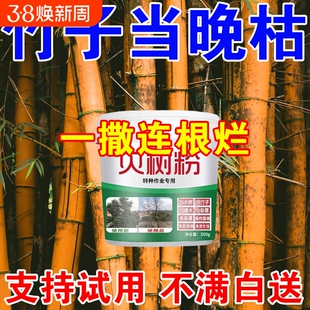 竹子烂根除专用竹根连根除强力去竹粉竹根大树灭杂草灌木专用剂S