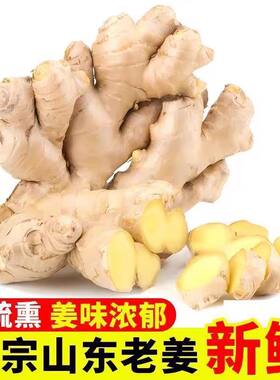 山东生姜特产大黄姜新鲜无土辛的大块姜月子姜自提食用泡脚种植