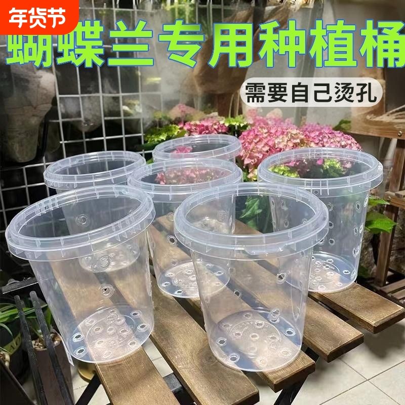 网红蝴蝶兰种植桶绿植盆栽家用透明花盆塑料桶有孔无孔专用花盆,鲜花速递/花卉仿真/绿植园艺,花盆,淘宝优惠券,粉丝福利购,淘宝优惠卷