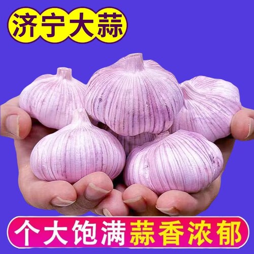 超实惠干蒜大蒜头每购