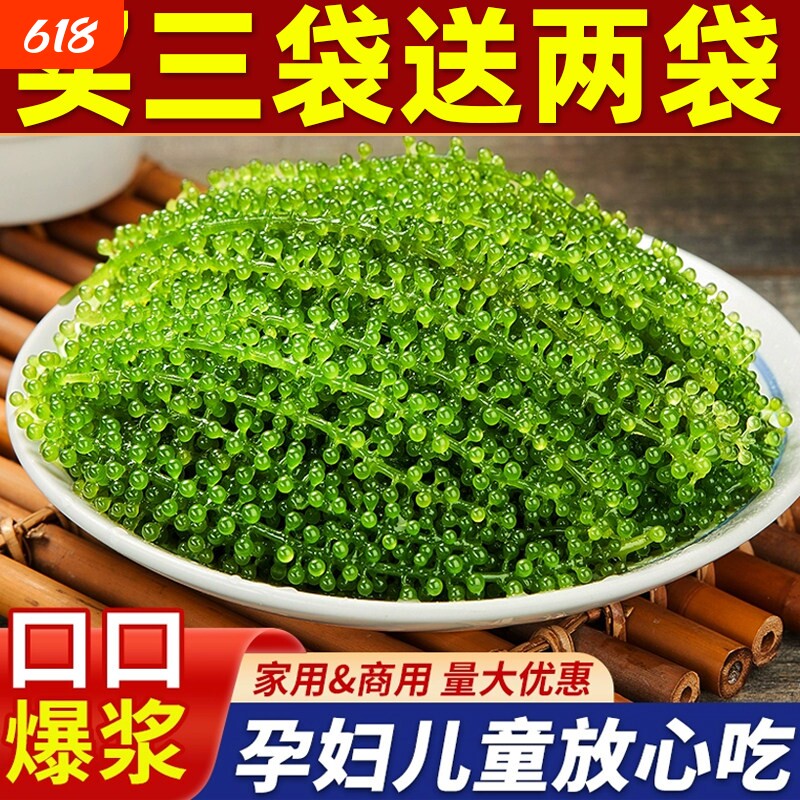 儿童海葡萄绿色鱼子酱即食泡发新鲜吃海葡萄送芥末酱料官方旗舰店