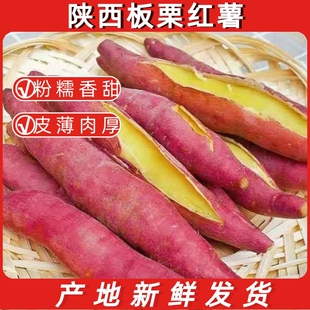 红薯新鲜沙地蜜薯板栗薯糖心地瓜香薯山芋农家自种现挖红皮黄心