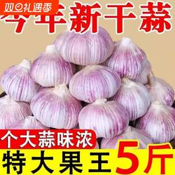 大蒜头山东金乡大蒜新鲜紫白皮干1斤/3斤/5斤装蒜籽批发特大果蒜