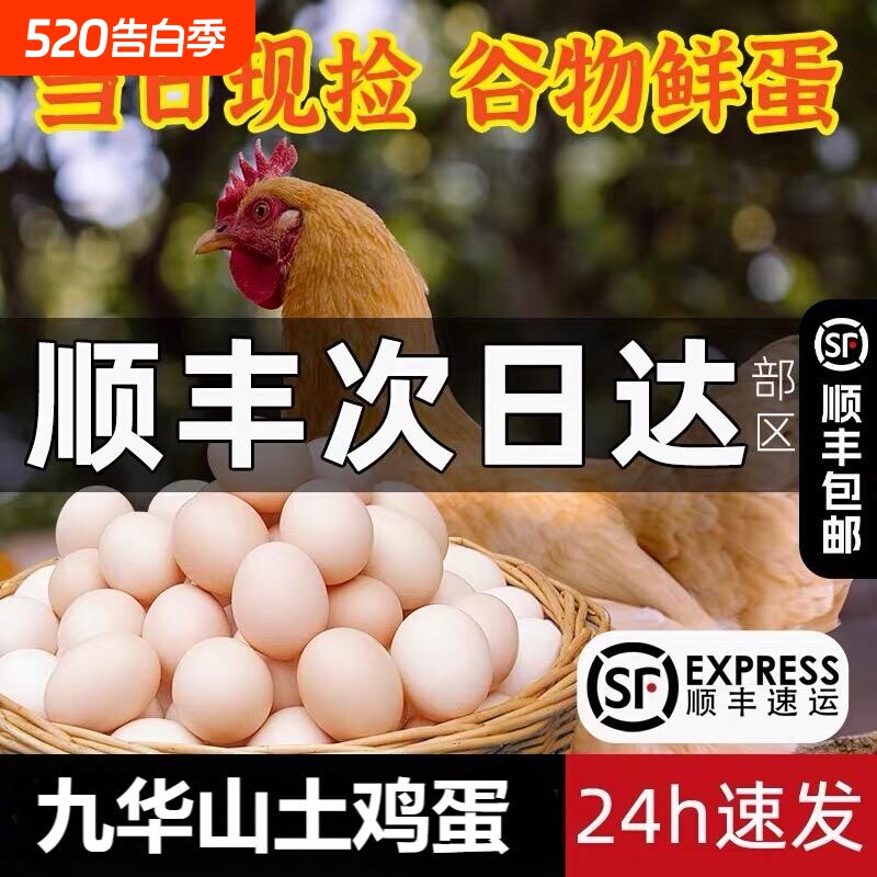 安徽九华山土鸡蛋20枚散养农家笨鸡蛋柴鸡蛋绿壳乌鸡蛋50枚发顺丰